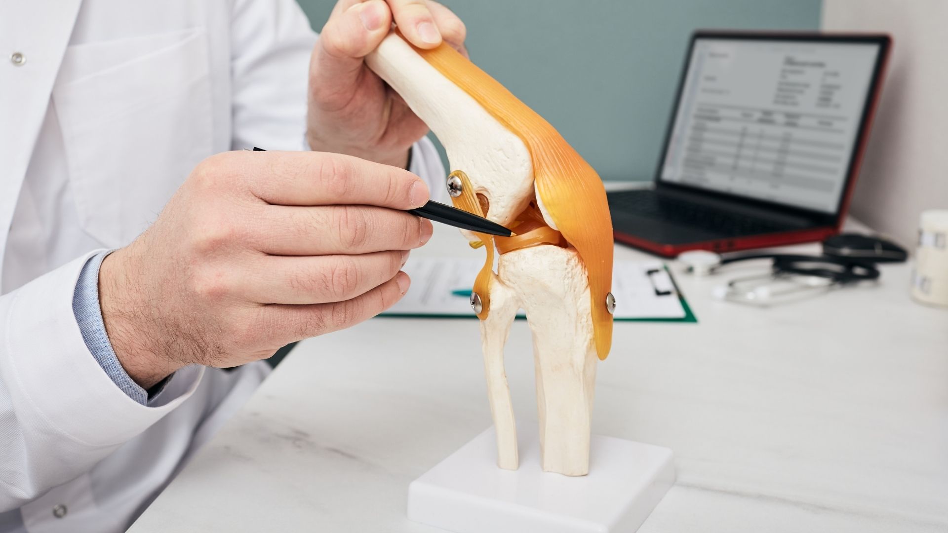 Meniscus Tears: Anatomy, Biomechanics, and Modern Treatment Approaches