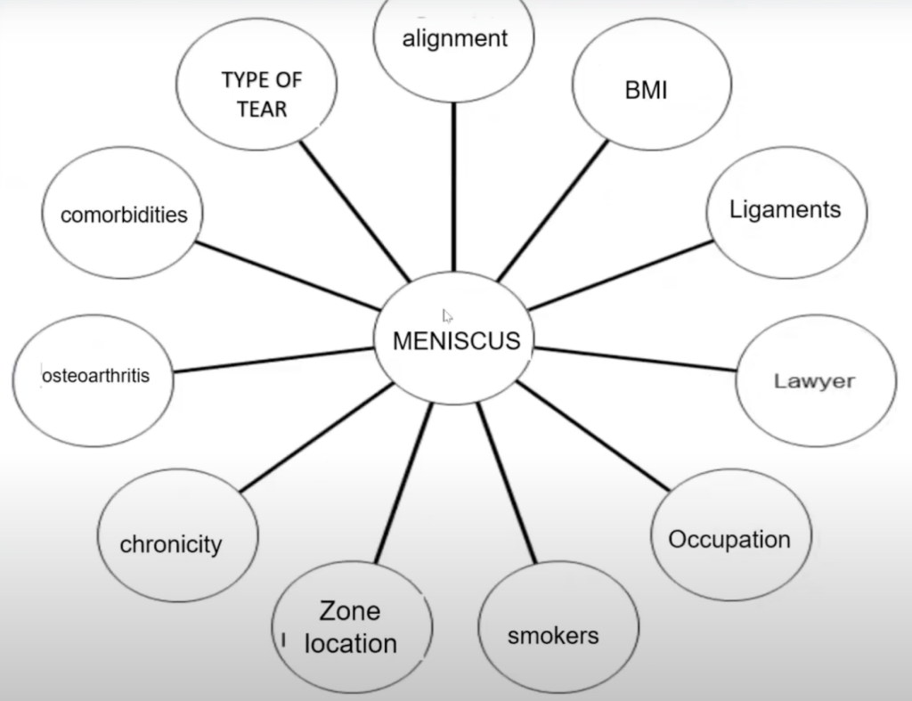 Meniscus
