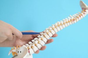 Comparison of cervical vs lumbar spinal cord injury and related life care planning needs