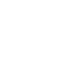 Injury Insight Logo - White